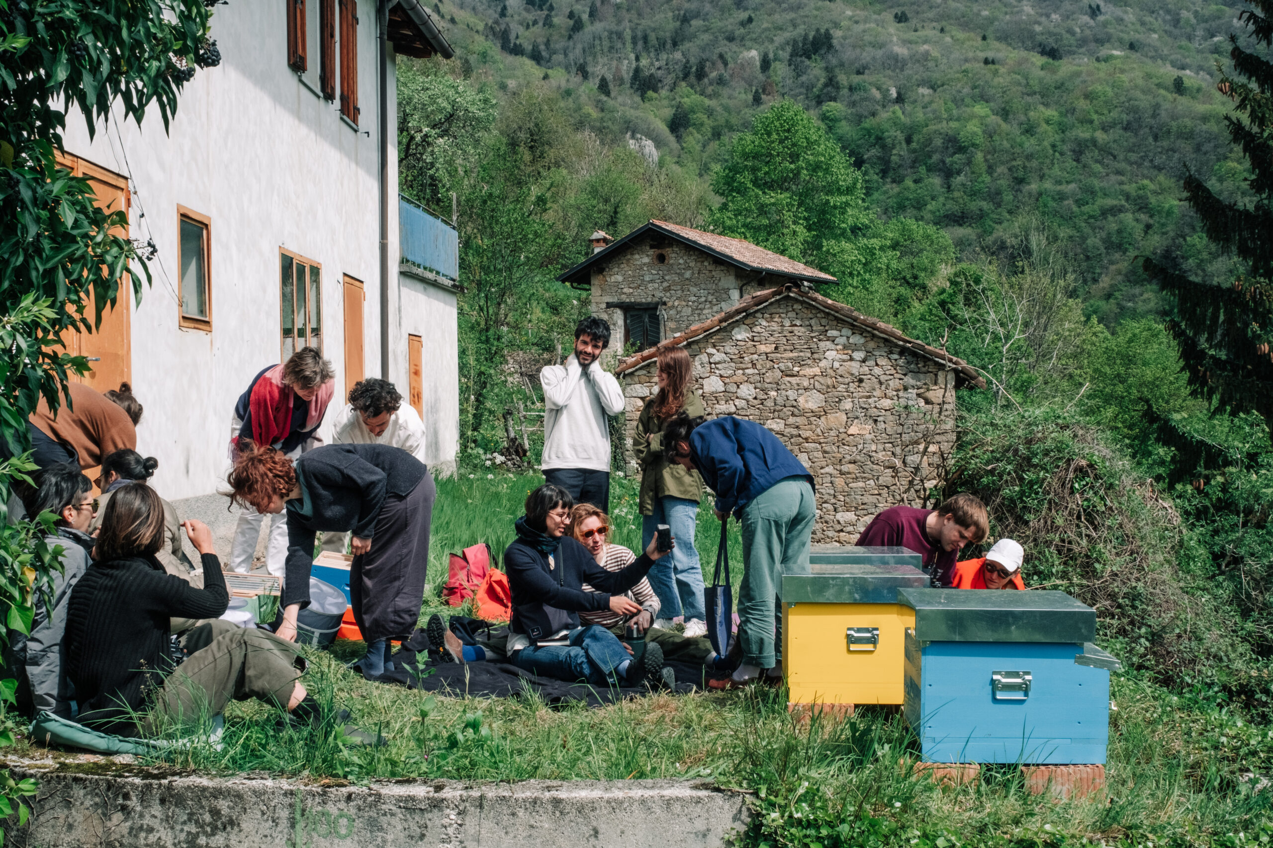 Visible Learning Fields: #RadicalEcologies